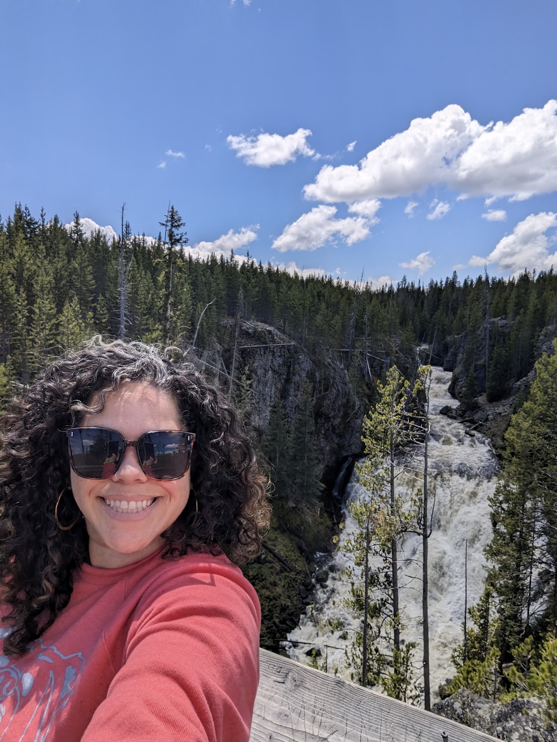 Leila M. Joyce Seals, PhD RPA